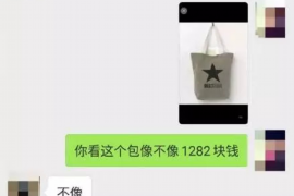 梓潼要账公司更多成功案例详情